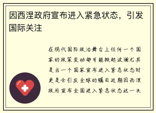 因西涅政府宣布进入紧急状态，引发国际关注