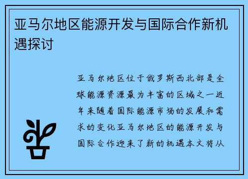 亚马尔地区能源开发与国际合作新机遇探讨